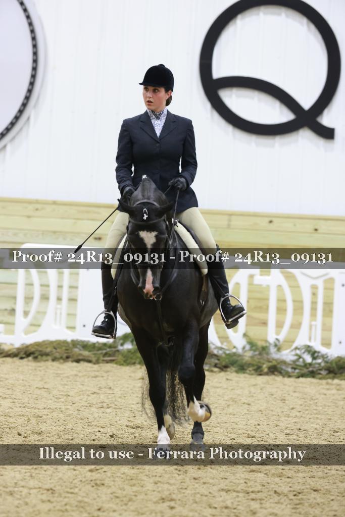 Proof 24R13_09131