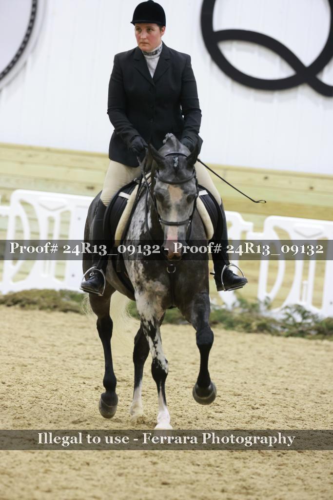 Proof 24R13_09132