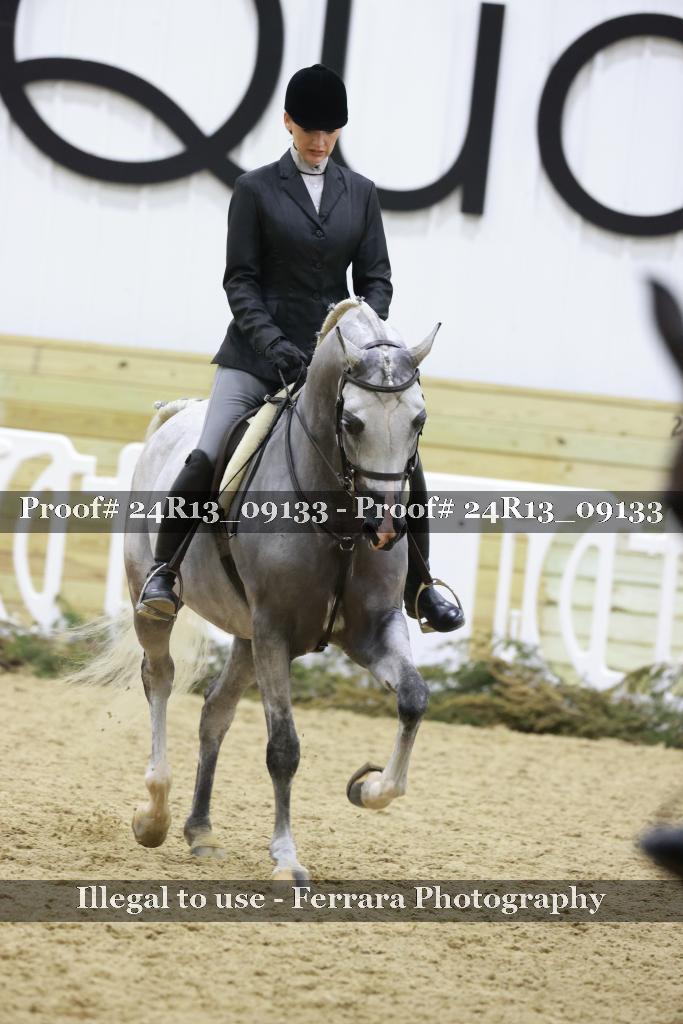 Proof 24R13_09133