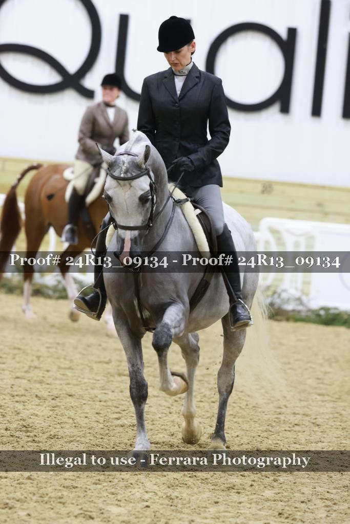 Proof 24R13_09134