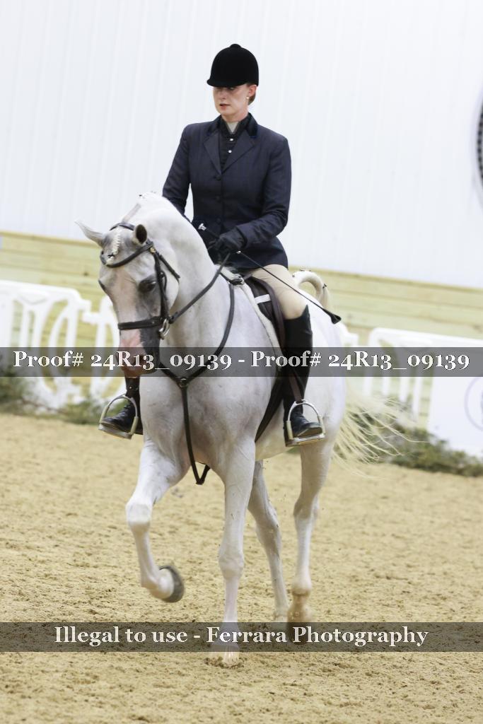 Proof 24R13_09139