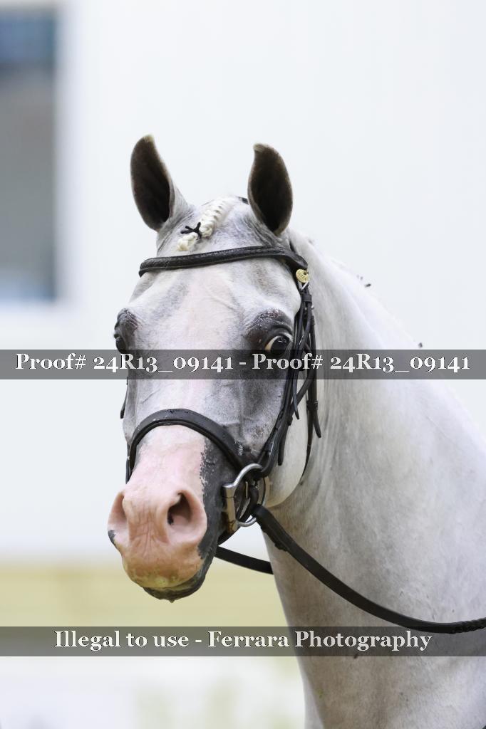 Proof 24R13_09141
