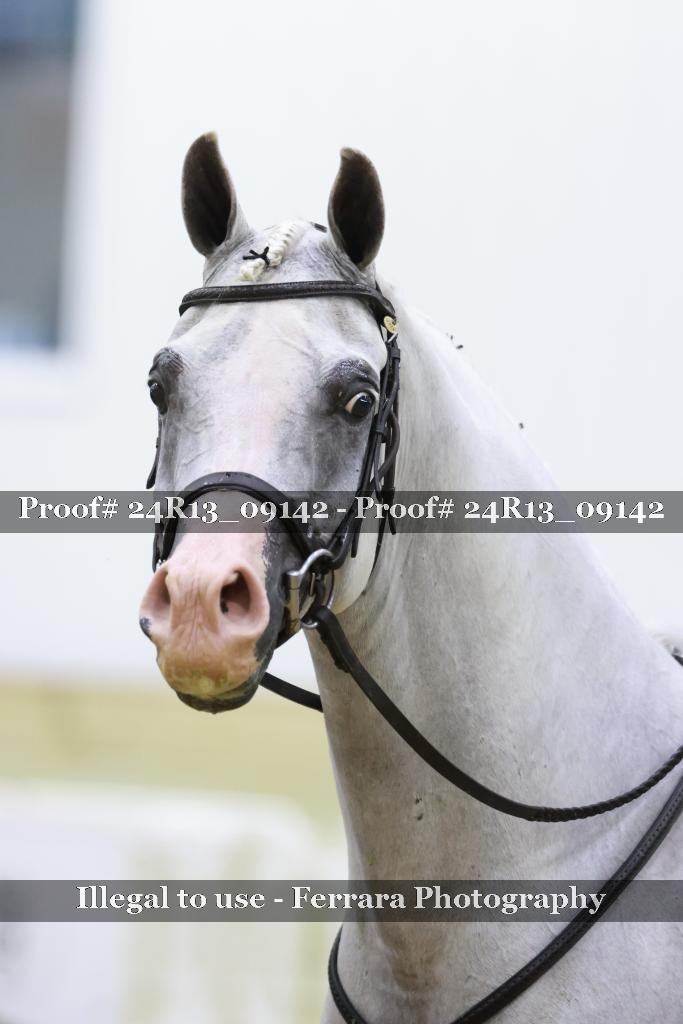 Proof 24R13_09142