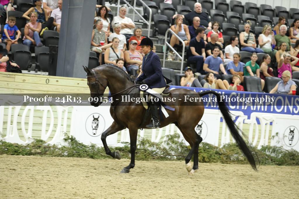 Proof 24R13_09154