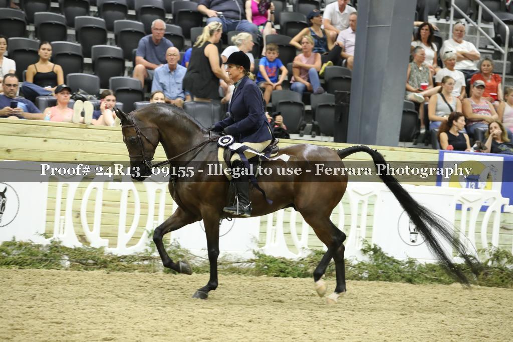 Proof 24R13_09155