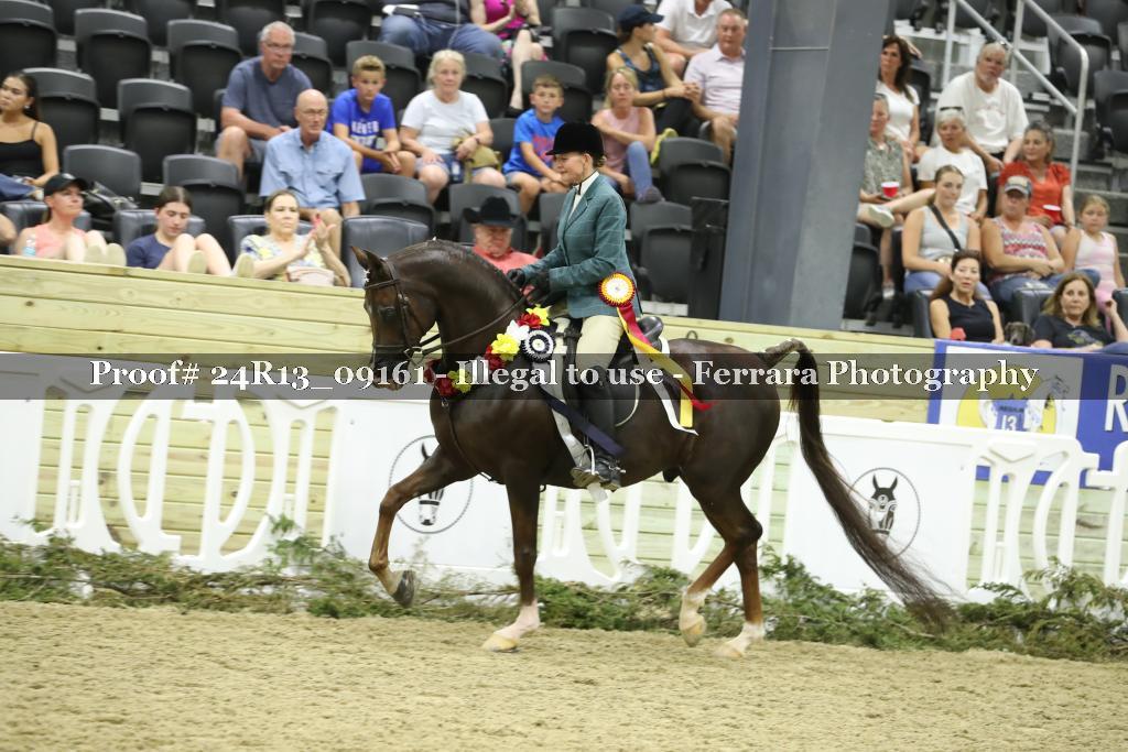 Proof 24R13_09161