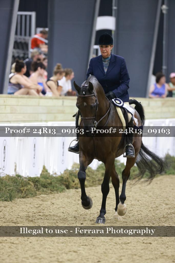 Proof 24R13_09163