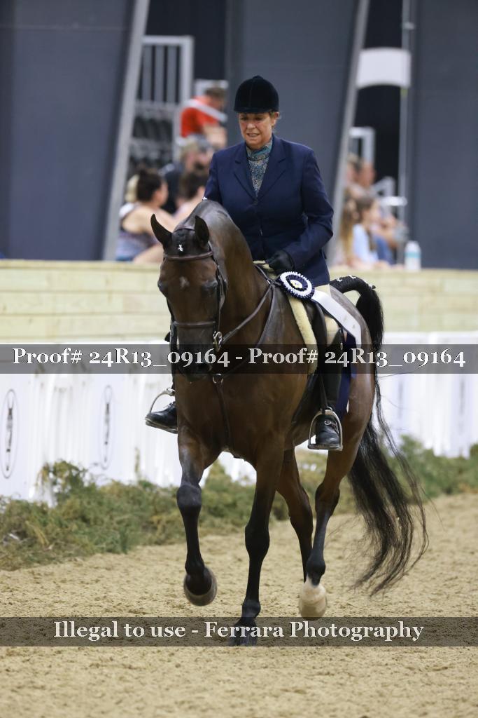 Proof 24R13_09164