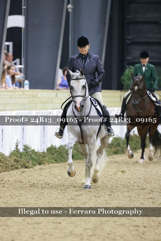 Proof 24R13_09165
