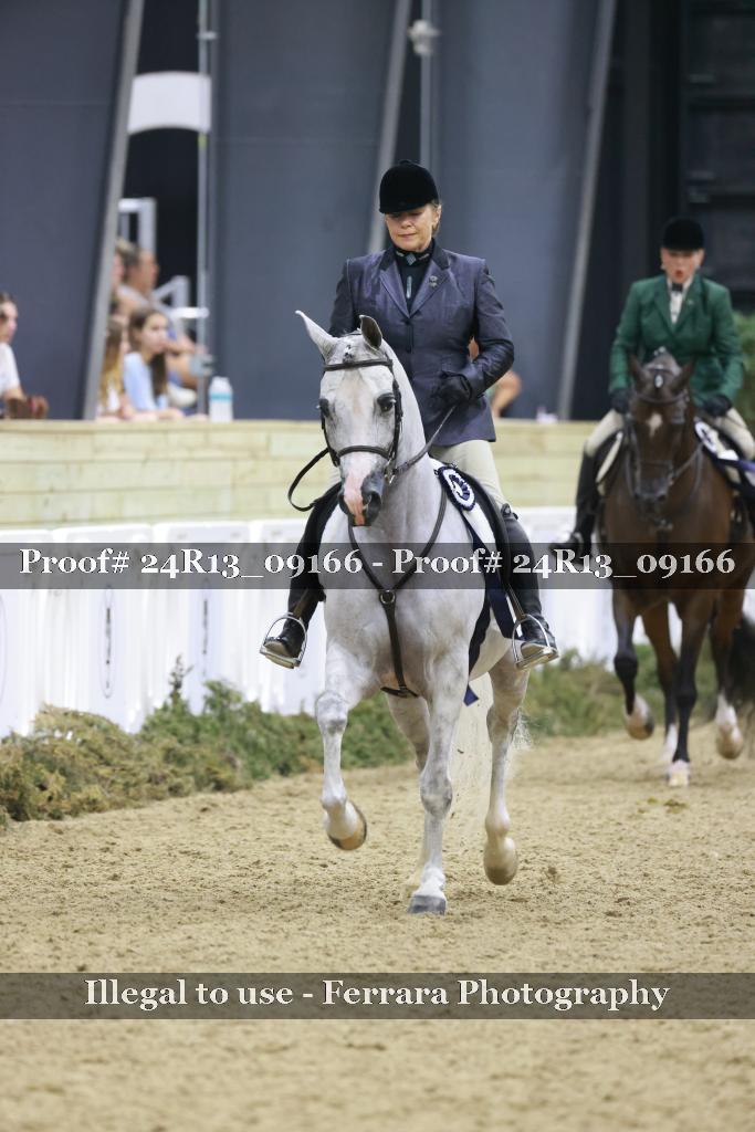 Proof 24R13_09166