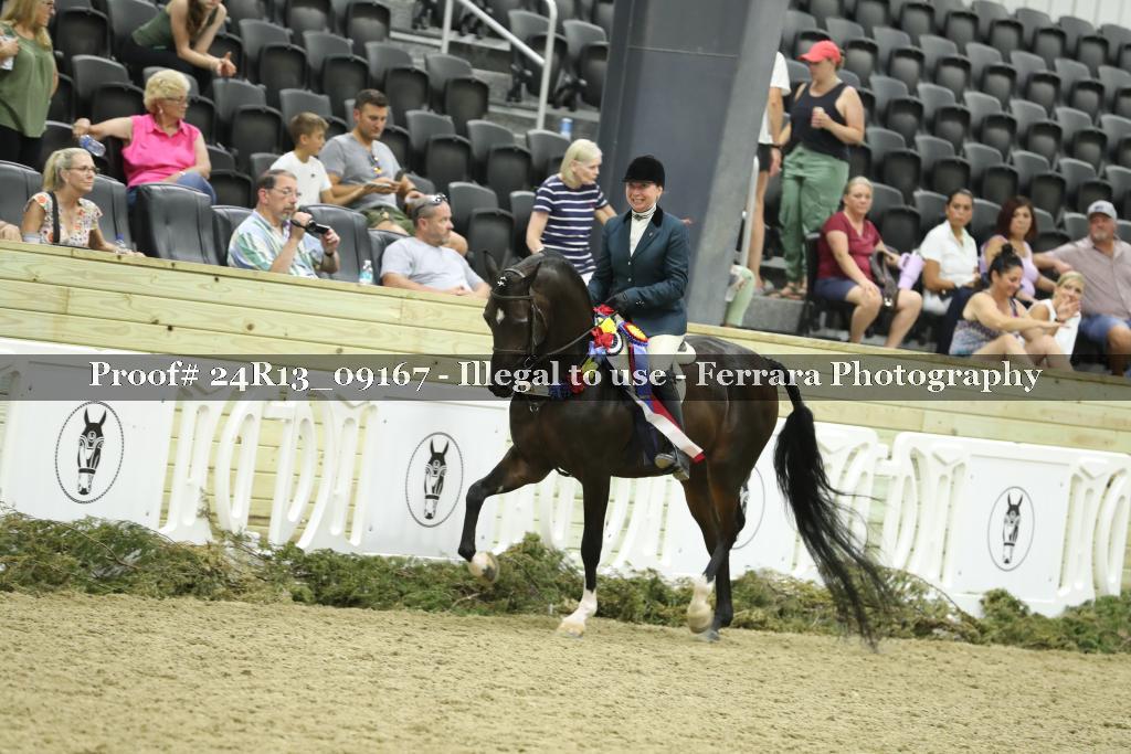 Proof 24R13_09167