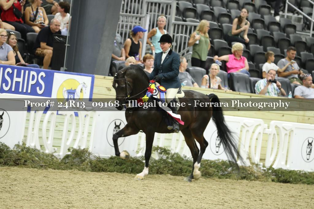 Proof 24R13_09168