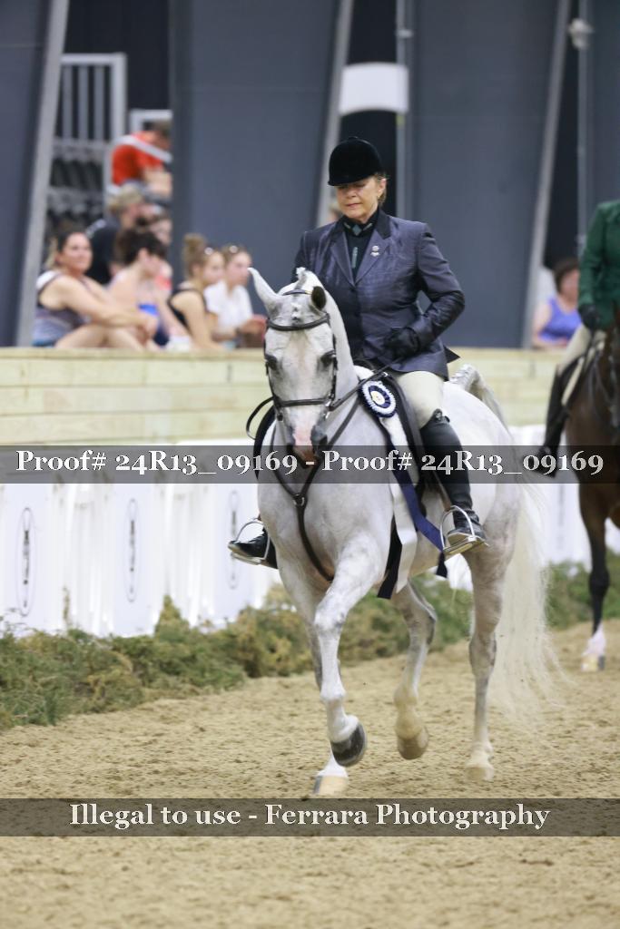 Proof 24R13_09169