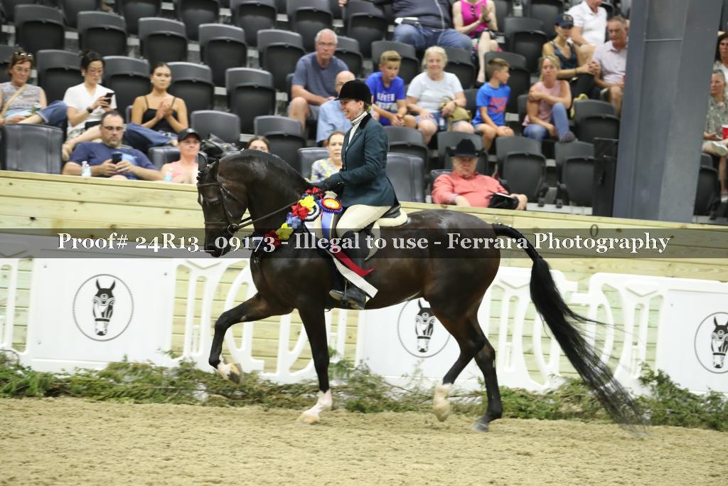 Proof 24R13_09173