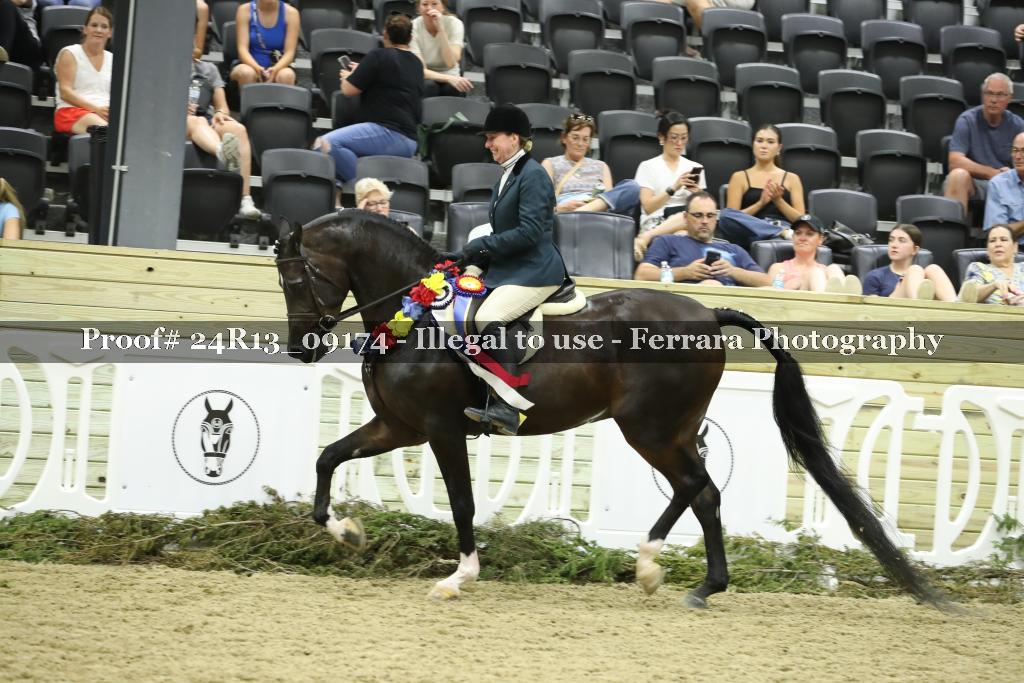 Proof 24R13_09174