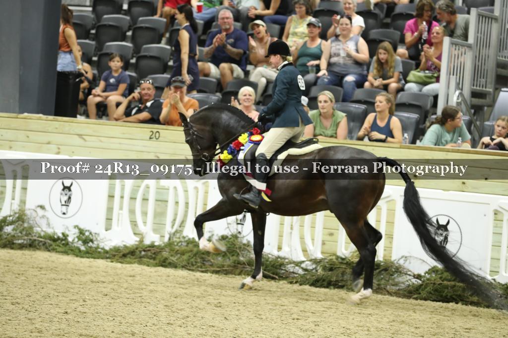 Proof 24R13_09175