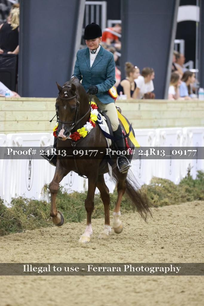 Proof 24R13_09177