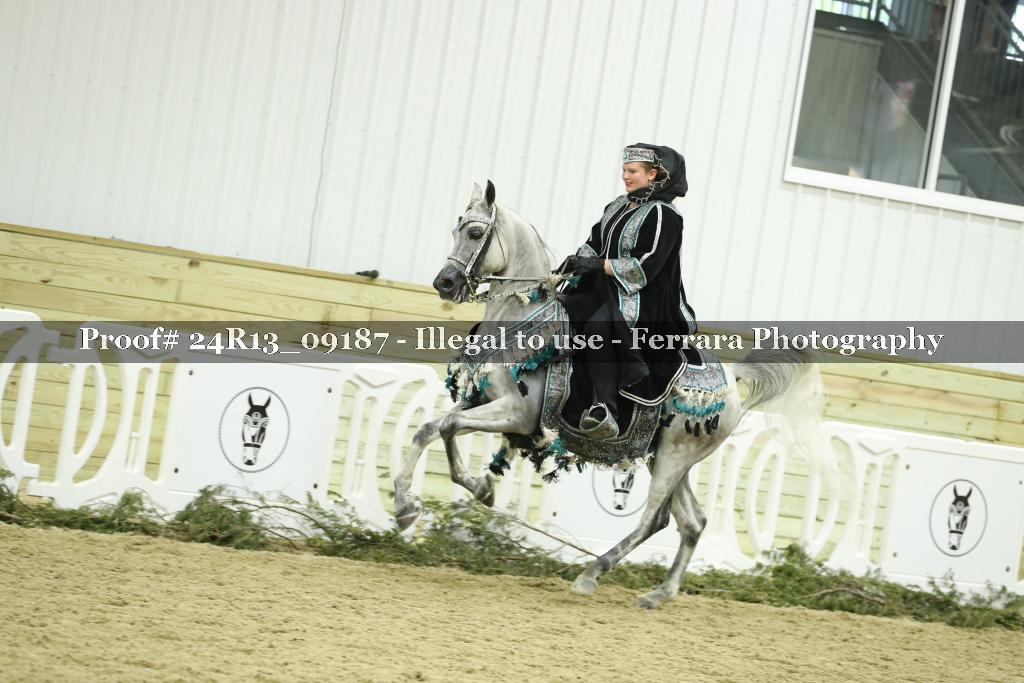 Proof 24R13_09187