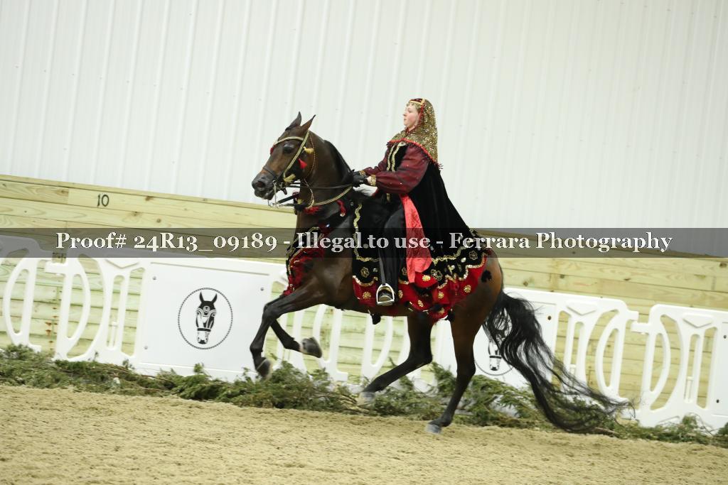 Proof 24R13_09189