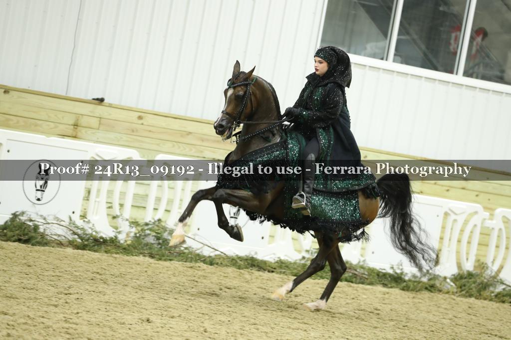 Proof 24R13_09192