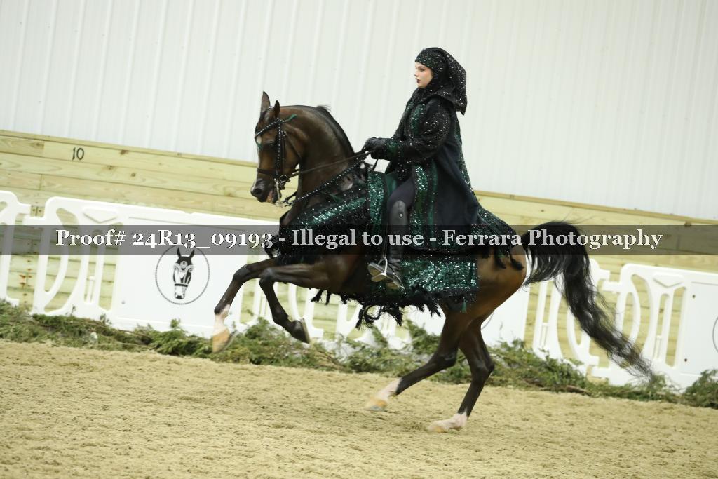 Proof 24R13_09193