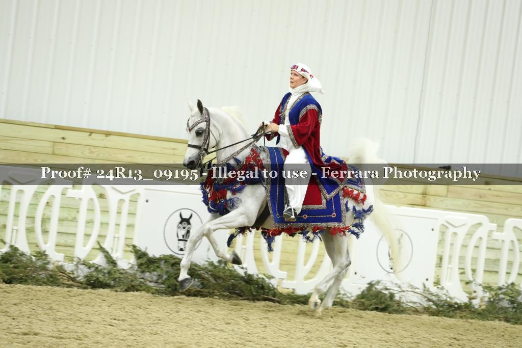 Proof 24R13_09195