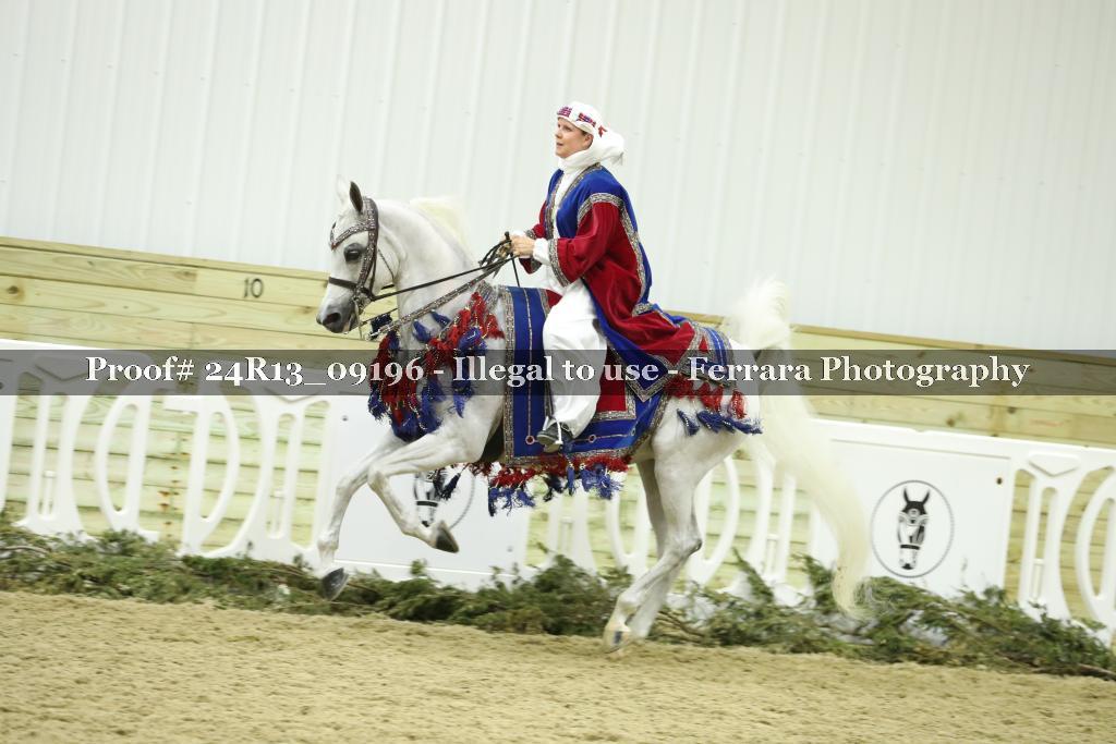 Proof 24R13_09196