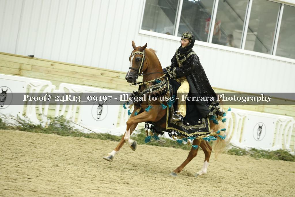 Proof 24R13_09197