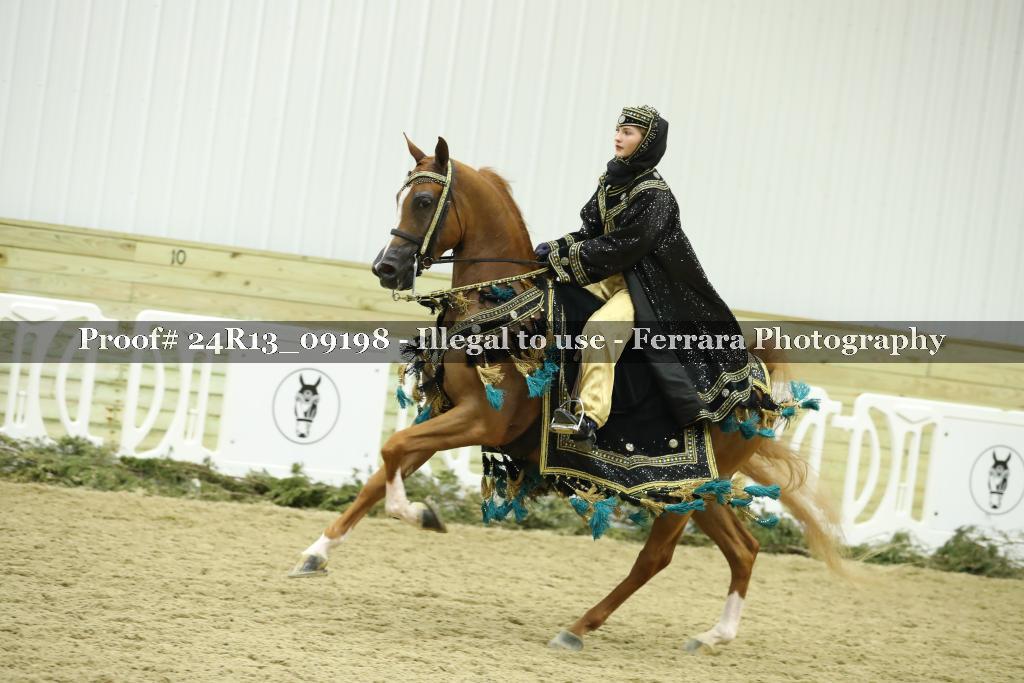 Proof 24R13_09198