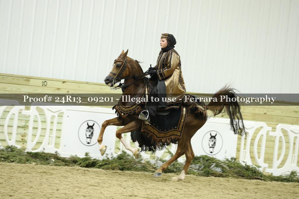 Proof 24R13_09201
