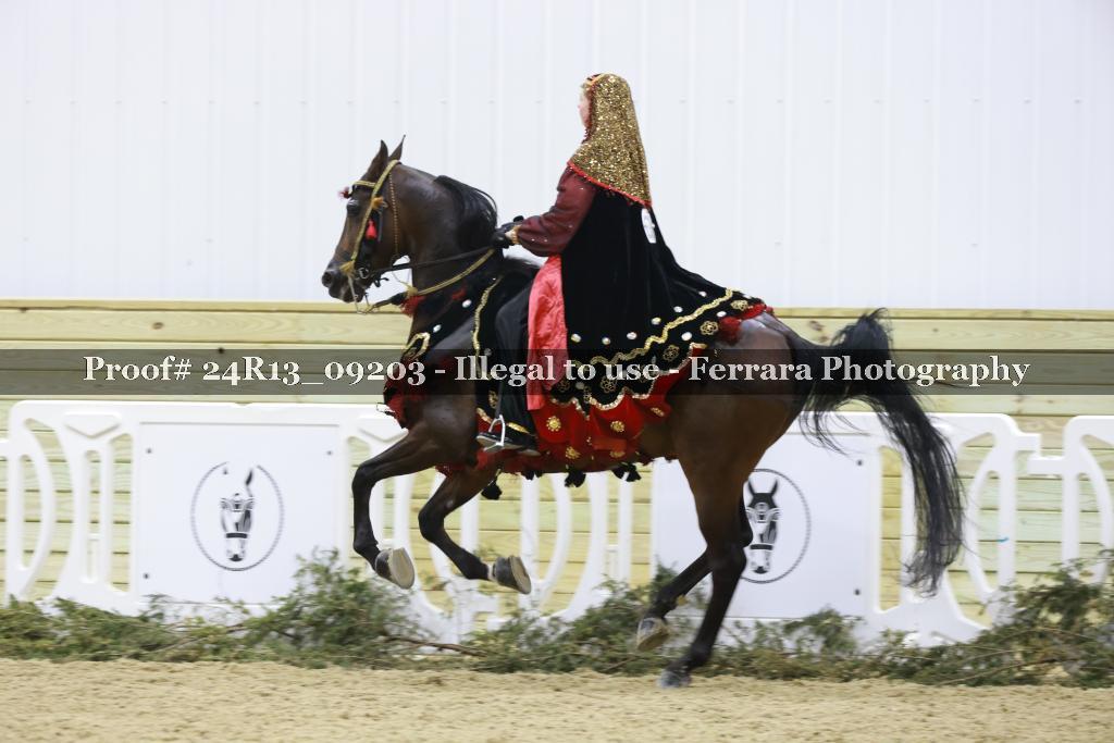 Proof 24R13_09203