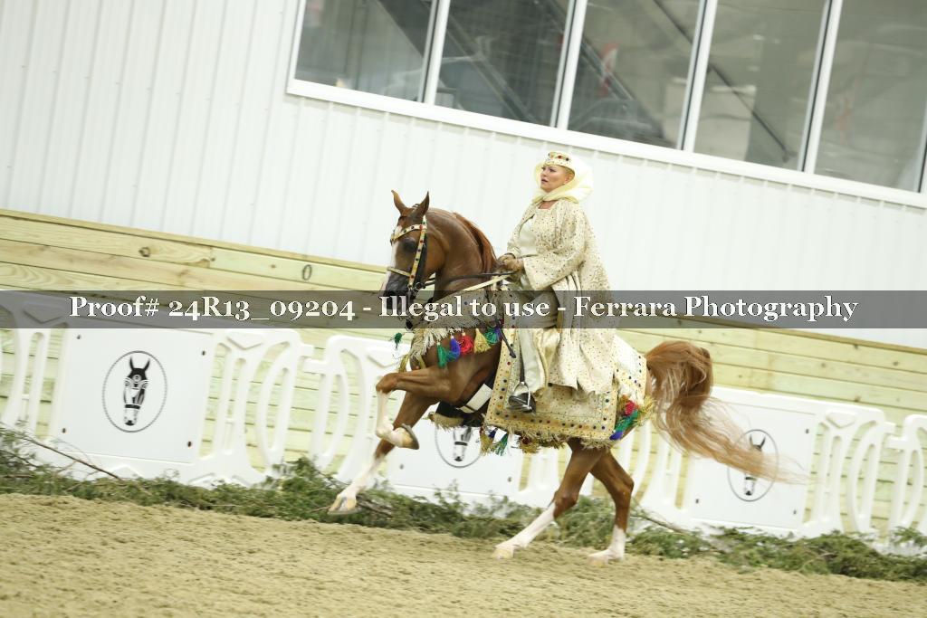 Proof 24R13_09204