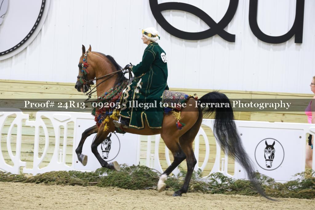 Proof 24R13_09205