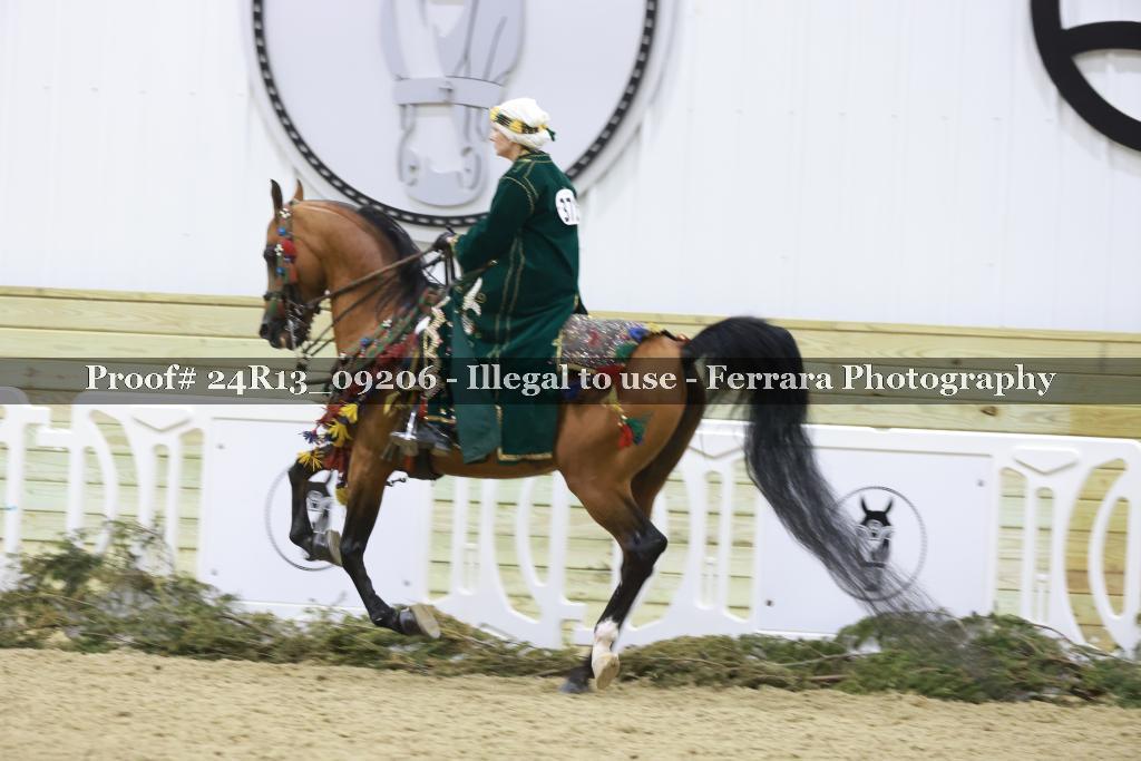 Proof 24R13_09206