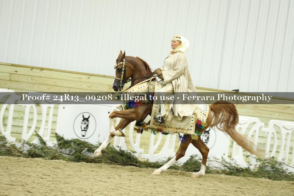 Proof 24R13_09208