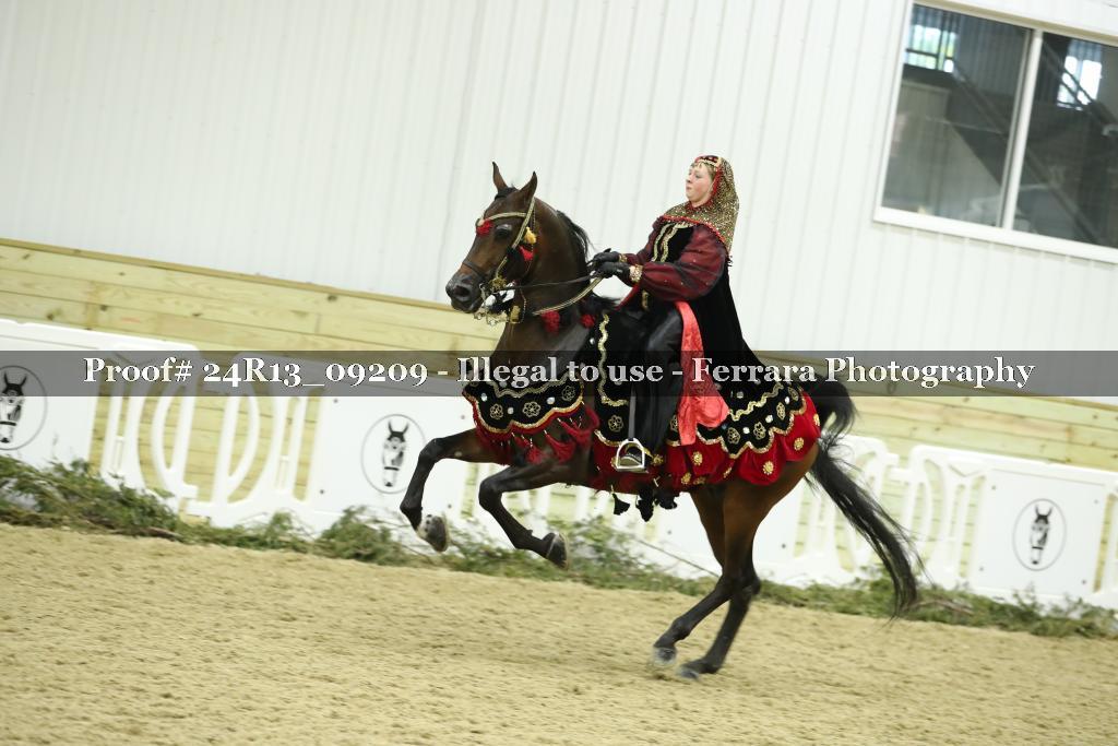 Proof 24R13_09209
