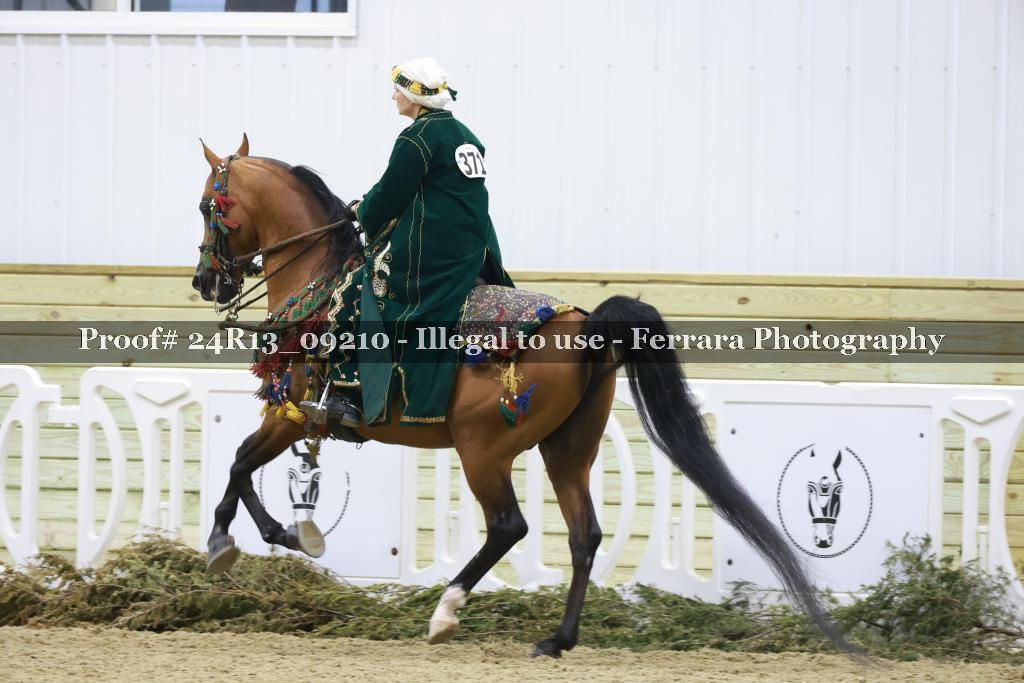 Proof 24R13_09210