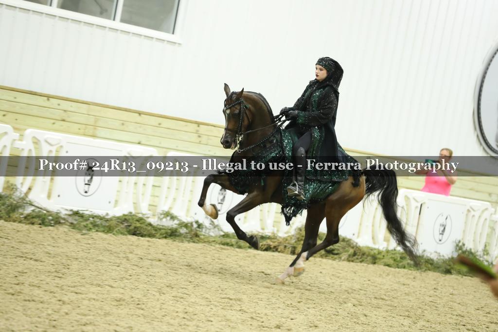 Proof 24R13_09213