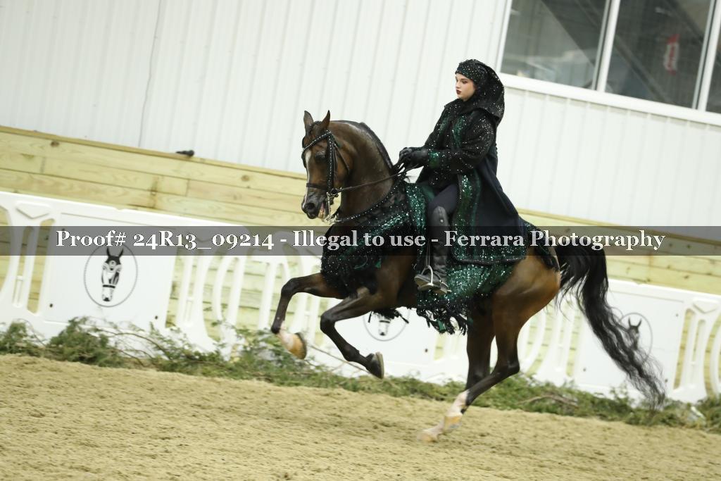 Proof 24R13_09214