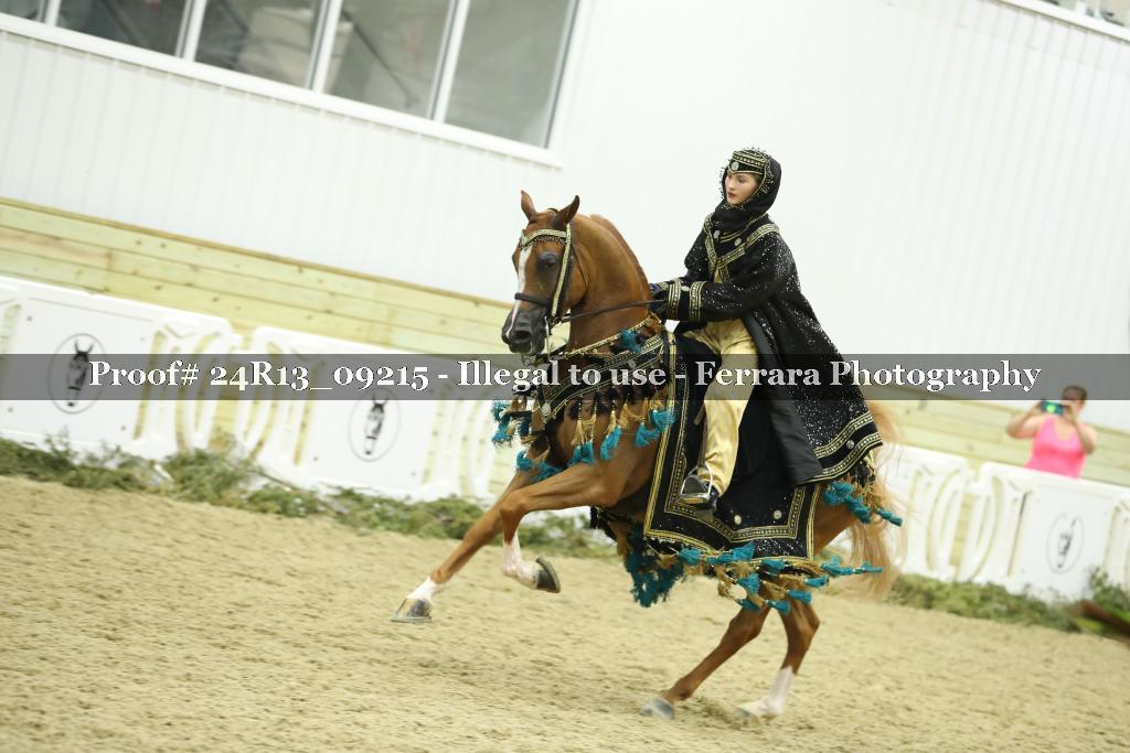 Proof 24R13_09215