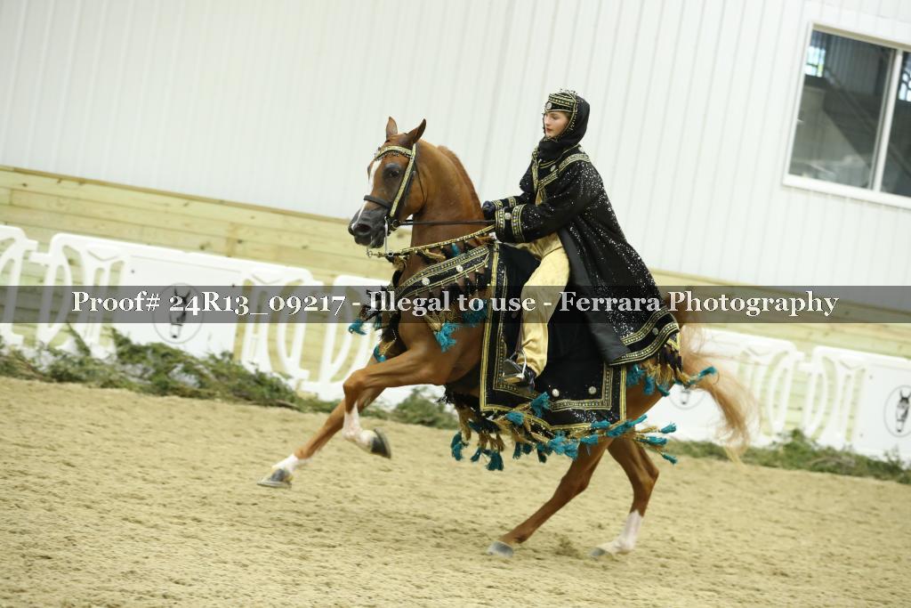 Proof 24R13_09217