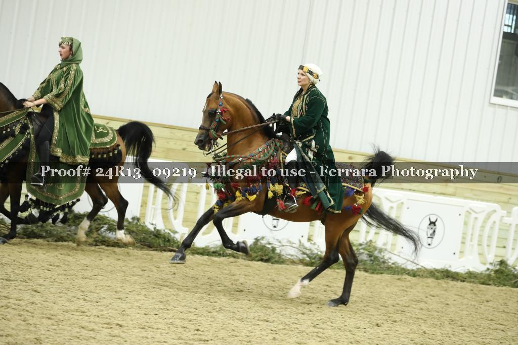 Proof 24R13_09219
