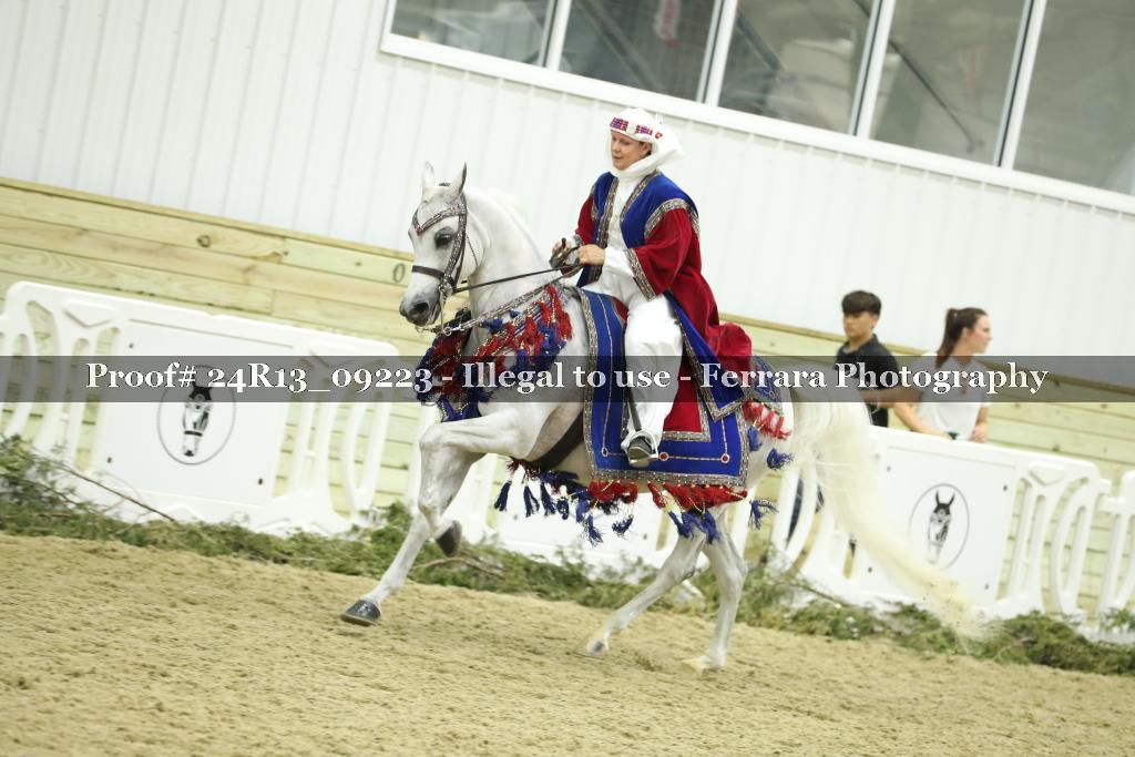 Proof 24R13_09223