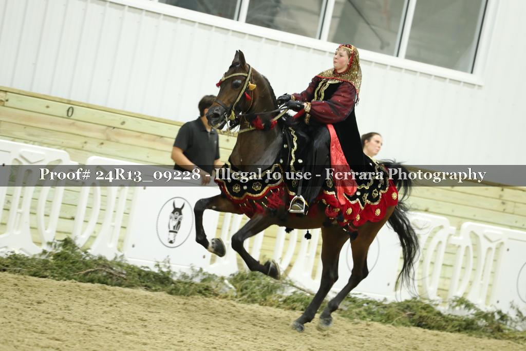 Proof 24R13_09228