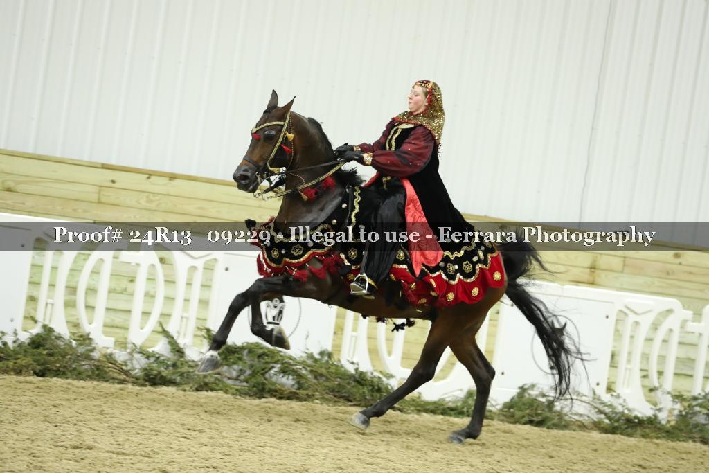 Proof 24R13_09229