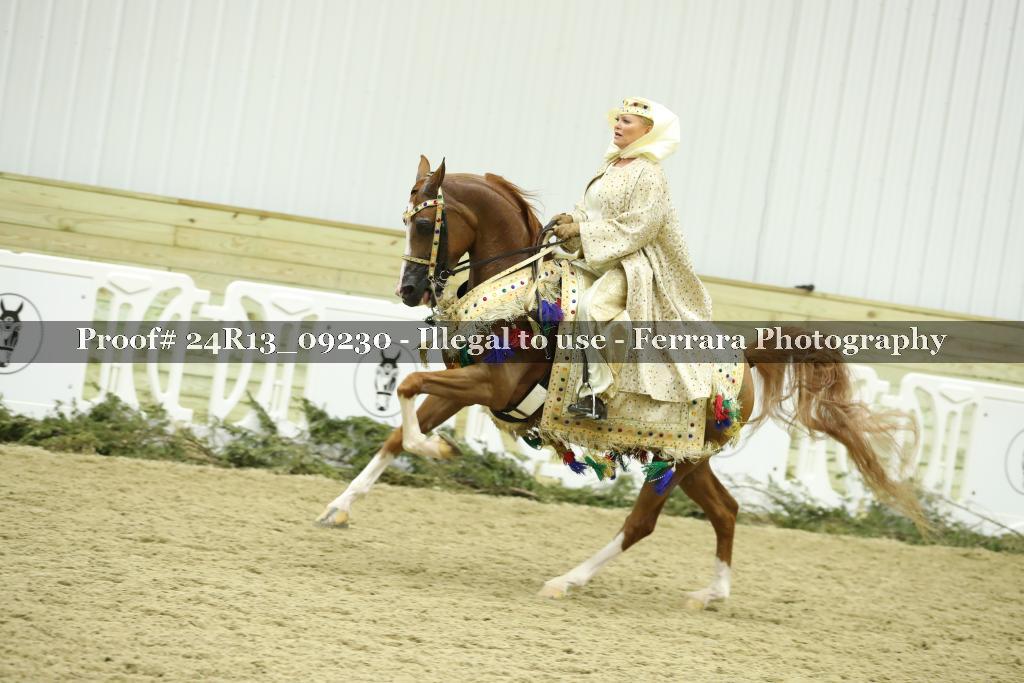 Proof 24R13_09230
