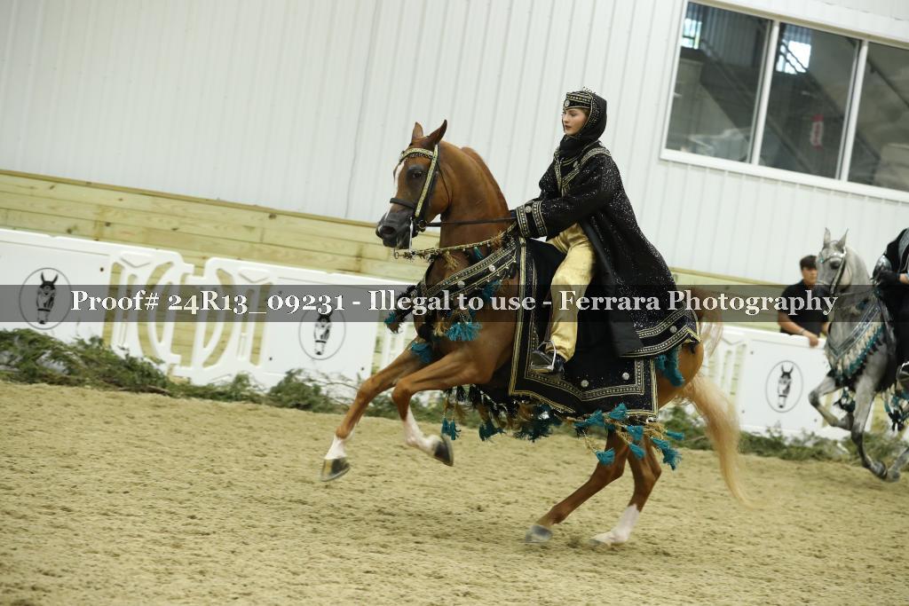 Proof 24R13_09231