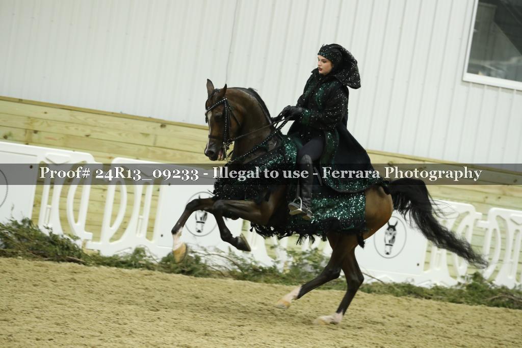 Proof 24R13_09233