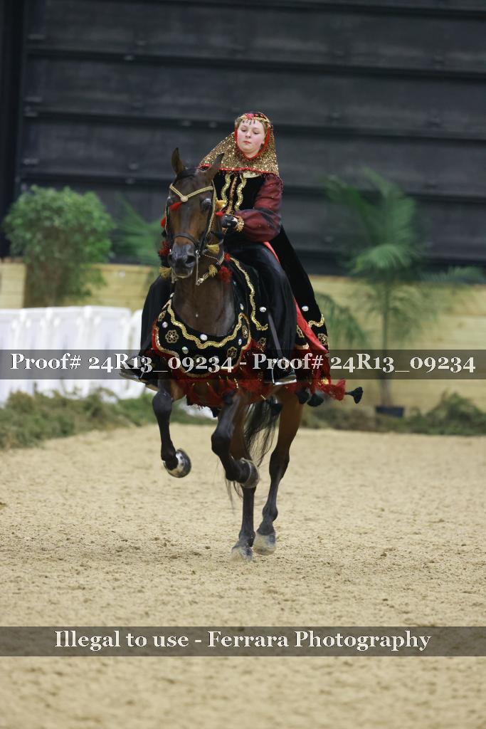 Proof 24R13_09234