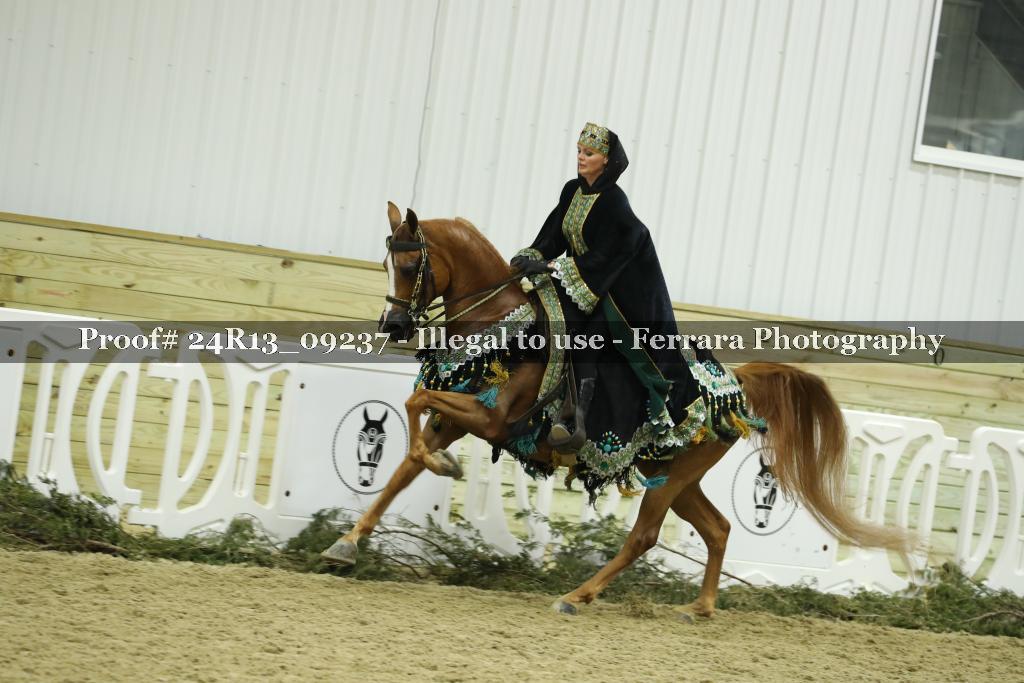 Proof 24R13_09237